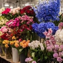 Фото из портфолио Салон цветов – фотографии дизайна интерьеров на INMYROOM
