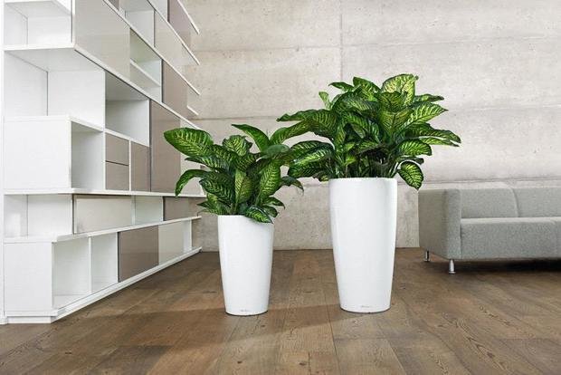 Фото из портфолио Кашпо для растений LECHUZA (Лечуза) RONDO (Рондо) – фотографии дизайна интерьеров на INMYROOM