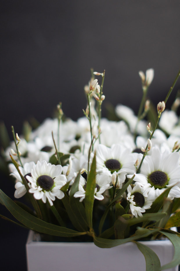 Фото из портфолио Флористика  – фотографии дизайна интерьеров на INMYROOM