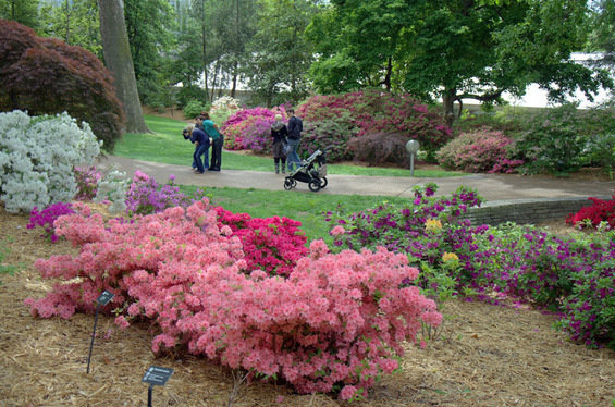 Фотография: Ландшафт в стиле , Дома и квартиры, Городские места – фото на INMYROOM