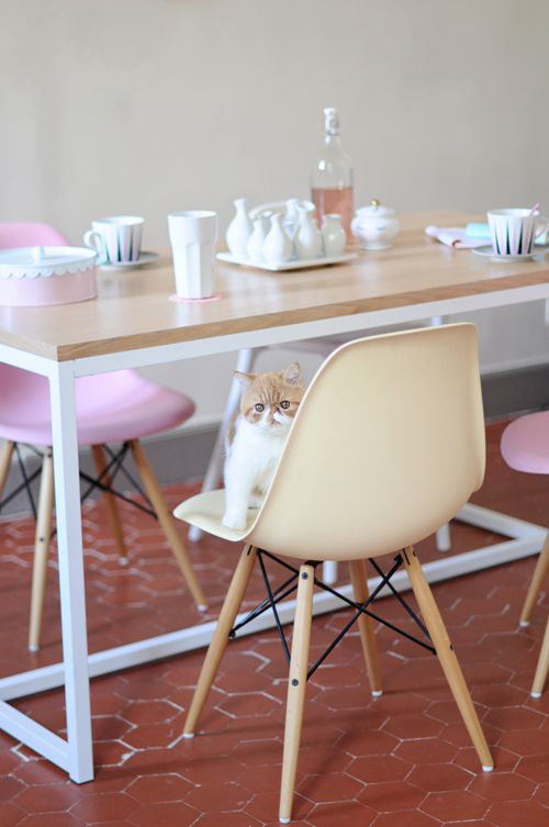 Фотография: Кухня и столовая в стиле Скандинавский, Мебель и свет, История дизайна, Гид, Charles & Ray Eames, Eames DSR, факты – фото на INMYROOM