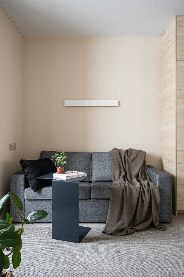 Фотография: Гостиная в стиле Современный, Минимализм, Квартира, Студия, Проект недели, Санкт-Петербург, до 40 метров, Avoid Bad Architecture – фото на INMYROOM