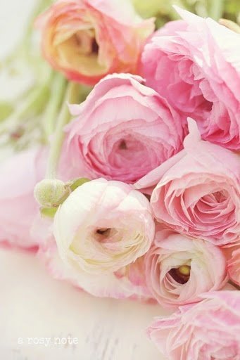 Фотография: Флористика в стиле , Декор интерьера, Декор дома, Декор свадьбы, Цветы, Свадебный декор – фото на INMYROOM Фотография: Флористика в стиле , Декор интерьера, Декор дома, Декор свадьбы, Цветы, Свадебный декор – фото на INMYROOM