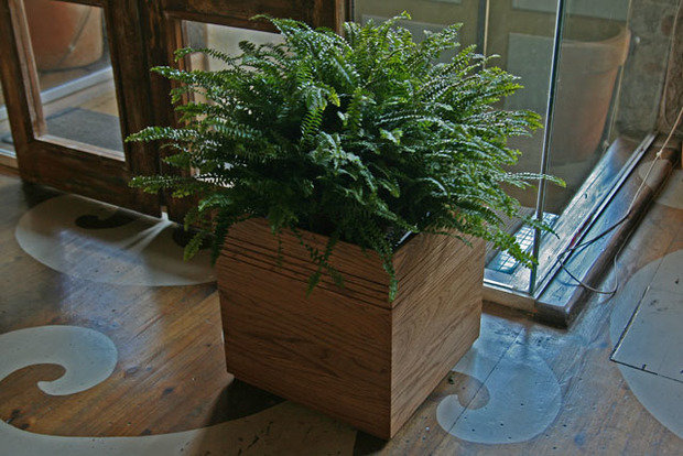 Фото из портфолио Кашпо Handywood в интерьере – фотографии дизайна интерьеров на INMYROOM