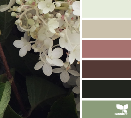 Фото из портфолио Сочетание цветов – фотографии дизайна интерьеров на InMyRoom.ru