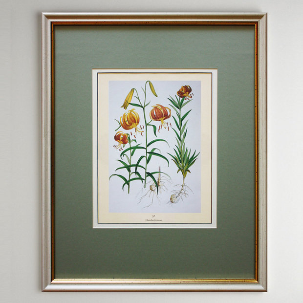 Фото из портфолио Summer flowers – фотографии дизайна интерьеров на INMYROOM