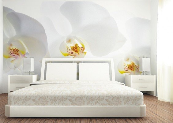 Фотография: Спальня в стиле Современный, Декор интерьера, Декор дома, Обои, Стены, Цветы, Фотообои – фото на INMYROOM