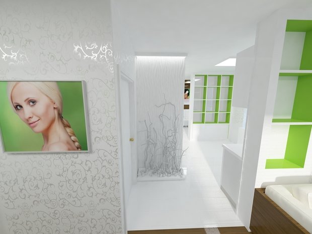 Фото из портфолио Салон – фотографии дизайна интерьеров на INMYROOM