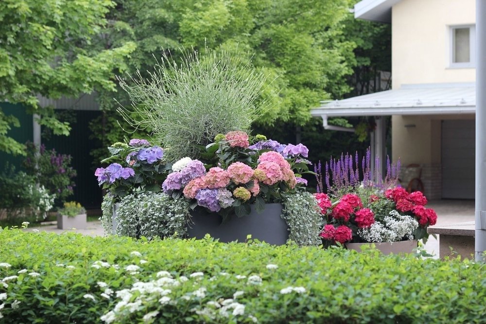 Дизайн: Елена Быкова