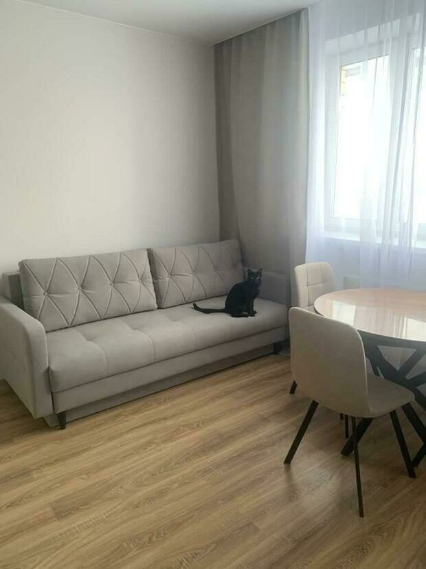 Фото из портфолио бостон лайт фиеста – фотографии дизайна интерьеров на INMYROOM