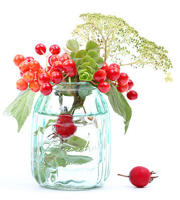 Фотография: Флористика в стиле , Декор интерьера, Дом – фото на INMYROOM