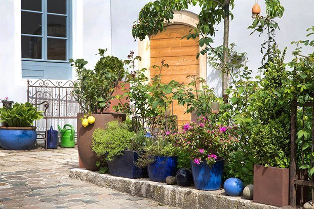 Фотография: Ландшафт в стиле , Декор интерьера, DIY, Флористика, Аксессуары, Декор, Советы, Дача, Дом и дача – фото на INMYROOM