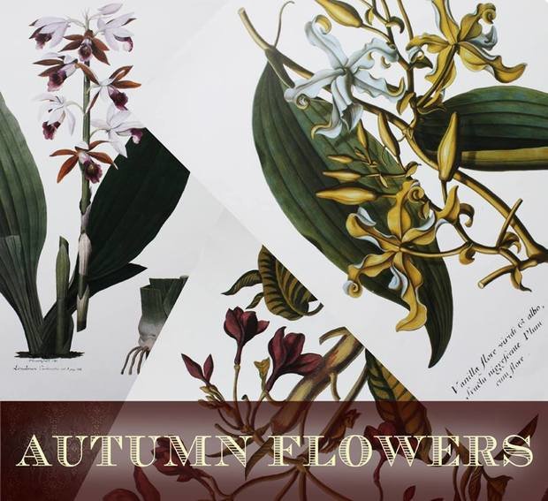 Фото из портфолио Autumn flowers – фотографии дизайна интерьеров на INMYROOM
