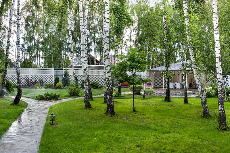 Фотография: Ландшафт в стиле Современный, Дачный ответ, Беседка – фото на INMYROOM Фотография: Ландшафт в стиле Современный, Дачный ответ, Беседка – фото на INMYROOM