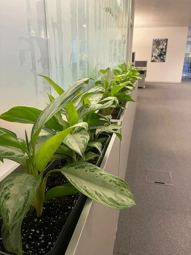 Фото из портфолио Офис Технодинамика г.Москва – фотографии дизайна интерьеров на INMYROOM