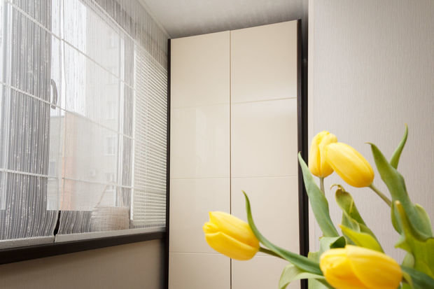 Фото из портфолио Кухня-студия с мебелью Astron – фотографии дизайна интерьеров на INMYROOM