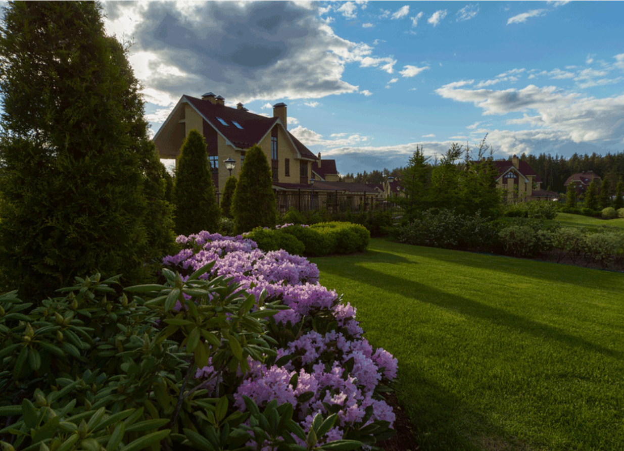 Дизайн: «СпецПаркДизайн»