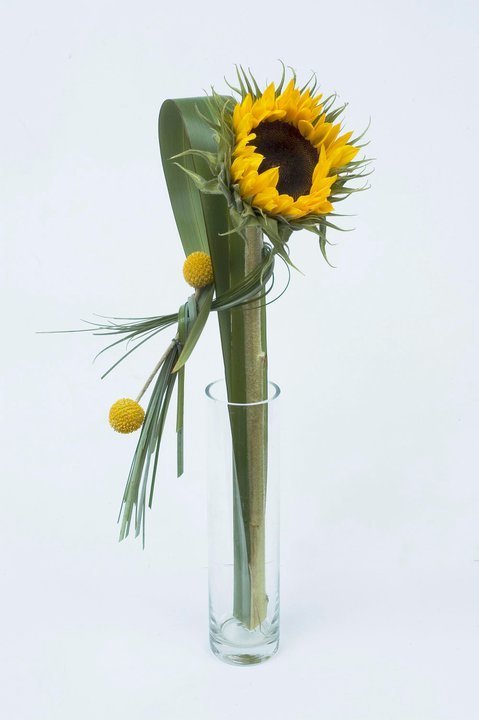 Фото из портфолио Мои фотографии 24.02.2013 – фотографии дизайна интерьеров на INMYROOM