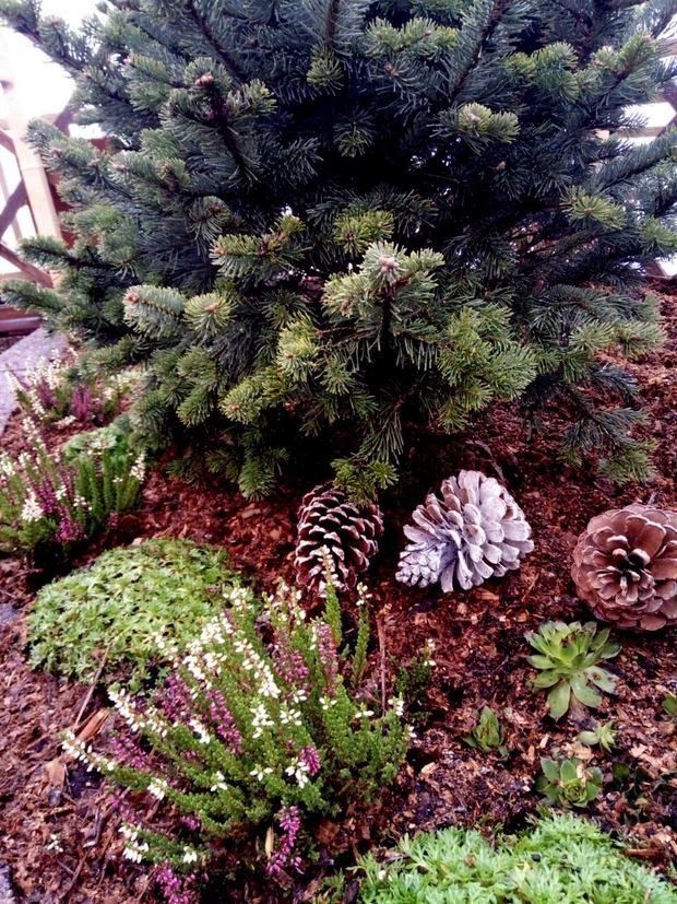 Фото из портфолио Ландшафтный дизайн приквартирного участка на Проспекте Мира – фотографии дизайна интерьеров на INMYROOM