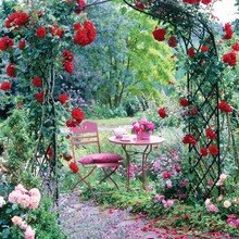 Фото из портфолио Озеленение – фотографии дизайна интерьеров на INMYROOM