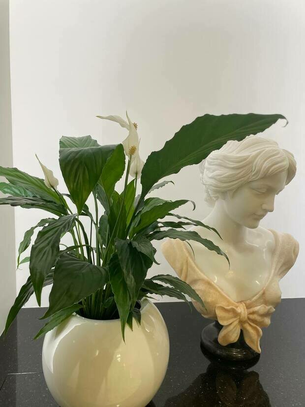 Фото из портфолио Клиника косметологии г. Санкт-Петербург – фотографии дизайна интерьеров на INMYROOM
