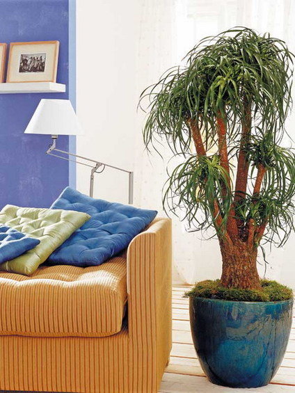 Фотография: Флористика в стиле , Стиль жизни – фото на INMYROOM