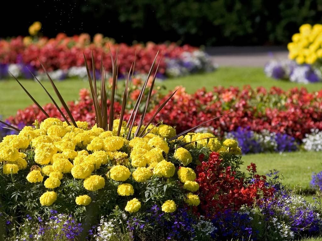 Фотография: Ландшафт в стиле , Советы, Дом и дача, Fiskars – фото на INMYROOM Фотография: Ландшафт в стиле , Советы, Дом и дача, Fiskars – фото на INMYROOM