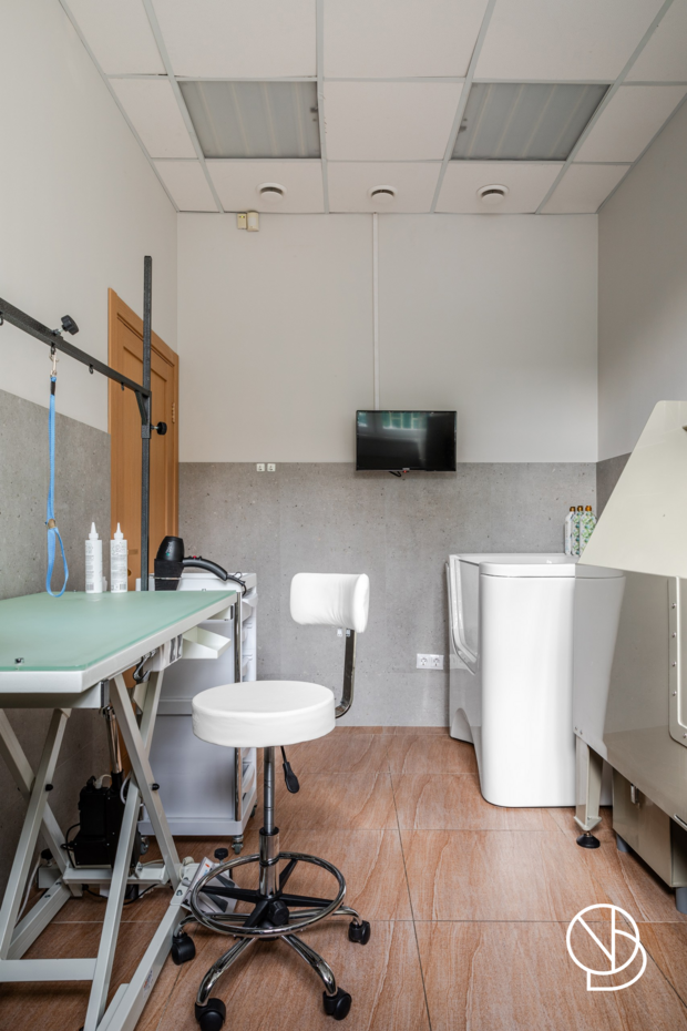 Фото из портфолио Груминг-салон – фотографии дизайна интерьеров на INMYROOM