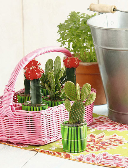 Фотография: Флористика в стиле , Стиль жизни – фото на INMYROOM