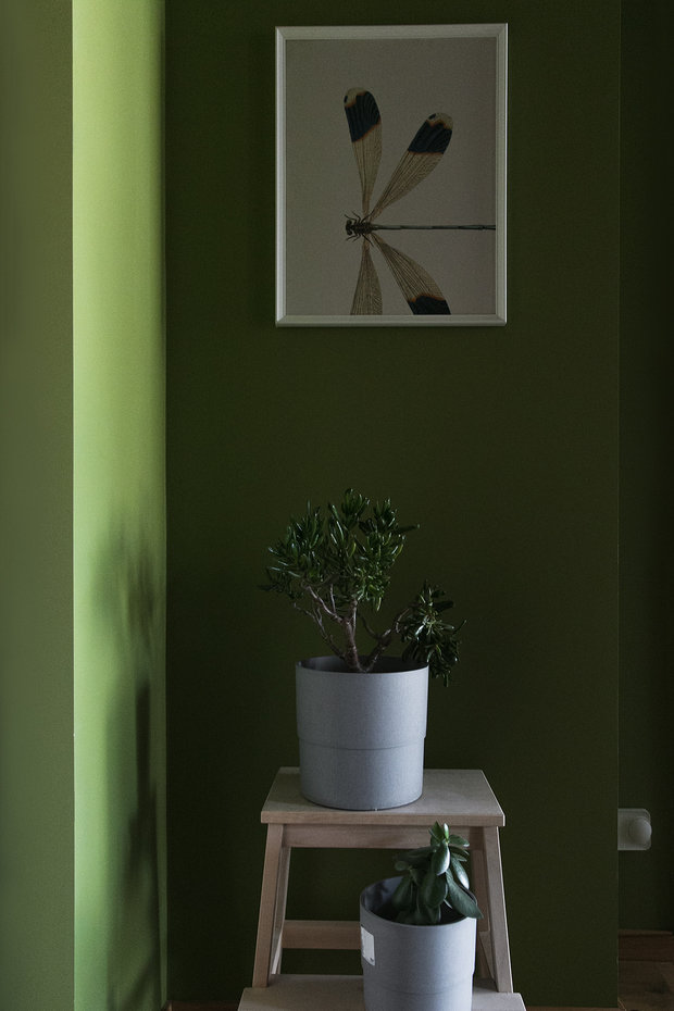 Фотография: Прихожая в стиле Скандинавский, Современный, Квартира, Проект недели, Санкт-Петербург, 1 комната, до 40 метров, Анастасия Заркуа – фото на INMYROOM