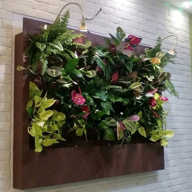 Фото из портфолио Фитостены. Вертикальное озеленение – фотографии дизайна интерьеров на INMYROOM
