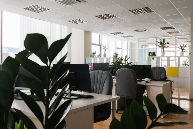 Фото из портфолио Офис компании Segmento – фотографии дизайна интерьеров на INMYROOM