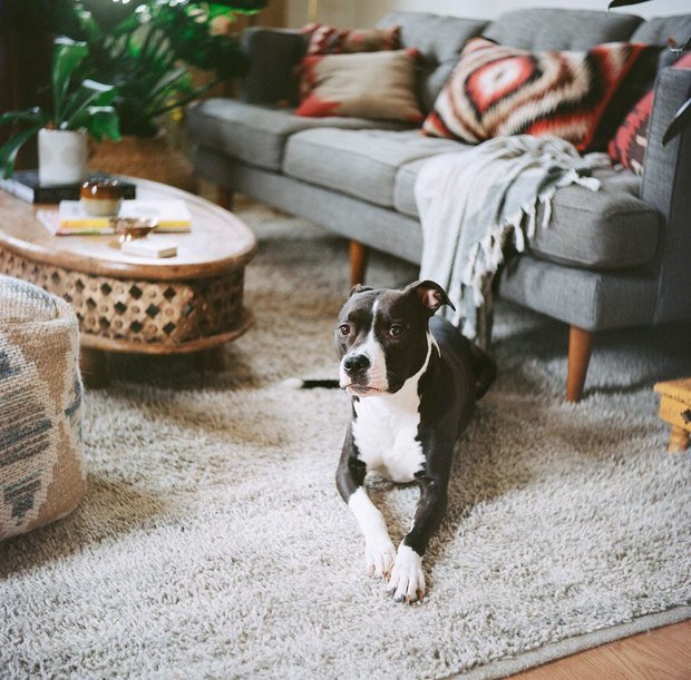 Фото из портфолио Интерьер от Dabito графического дизайнера – фотографии дизайна интерьеров на INMYROOM
