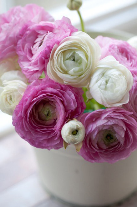 Фотография: Флористика в стиле , Декор интерьера, Декор дома, Декор свадьбы, Цветы, Свадебный декор – фото на INMYROOM Фотография: Флористика в стиле , Декор интерьера, Декор дома, Декор свадьбы, Цветы, Свадебный декор – фото на INMYROOM