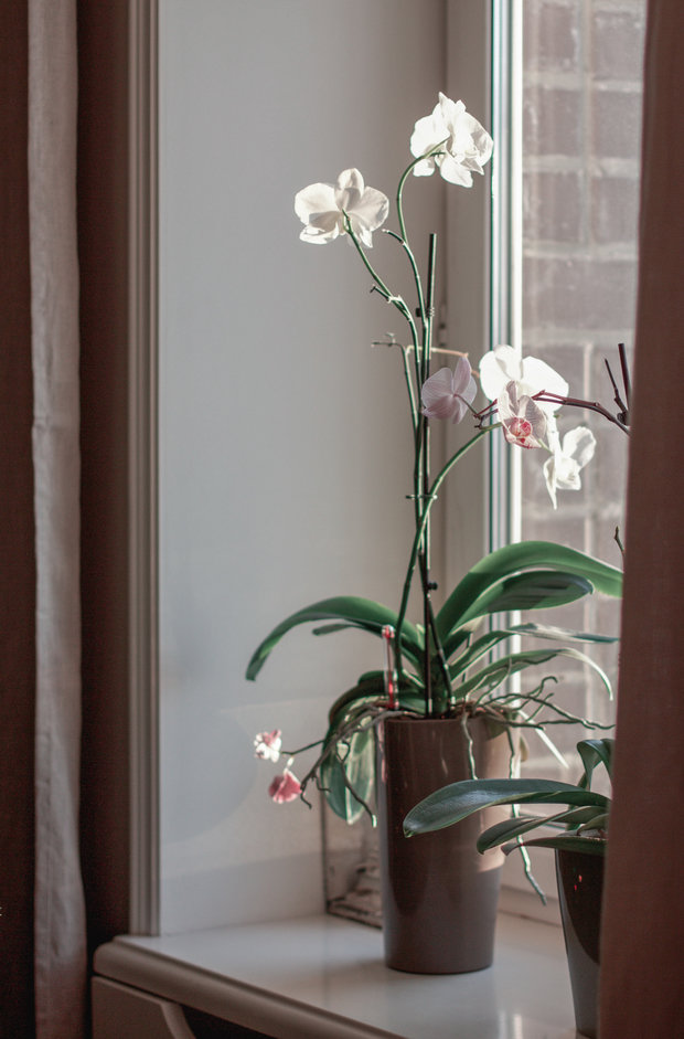 Фото из портфолио Чистый лист – фотографии дизайна интерьеров на INMYROOM