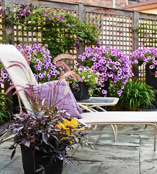Фотография: Флористика в стиле , Интерьер комнат, Терраса, Гамак – фото на INMYROOM