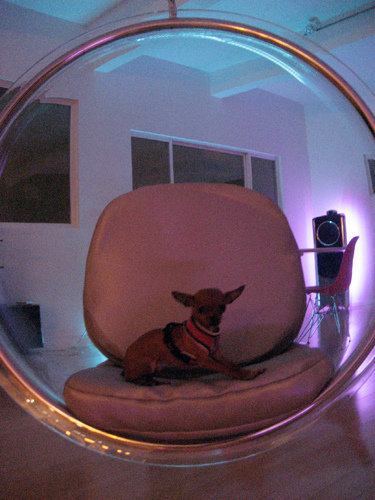 Фотография: Мебель и свет в стиле Современный – фото на INMYROOM