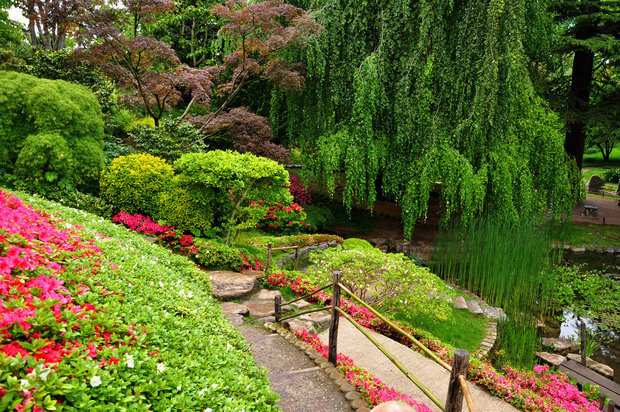 Фотография: Ландшафт в стиле Современный, Гид, дизайн-гид, Ольга Шаповалова – фото на INMYROOM