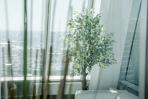 Фото из портфолио Создание офиса издательства в Москва-Сити – фотографии дизайна интерьеров на INMYROOM