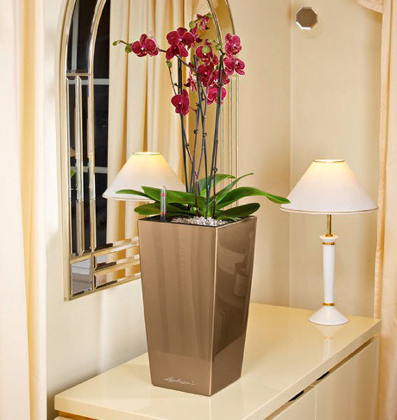Фото из портфолио MAXI-CUBI и MINI-CUBI: цветочные горшки для растений от немецкого производителя LECHUZA – фотографии дизайна интерьеров на INMYROOM