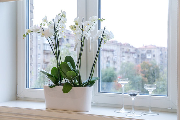 Фотография: Флористика в стиле , Гостиная, Декор интерьера, Интерьер комнат, Тема месяца – фото на INMYROOM