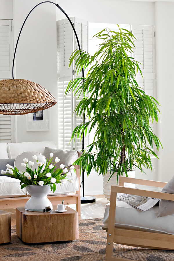 Фотография: Гостиная в стиле Современный, Эко, Декор интерьера, Мебель и свет, Декор дома, Советы, Ковер – фото на INMYROOM