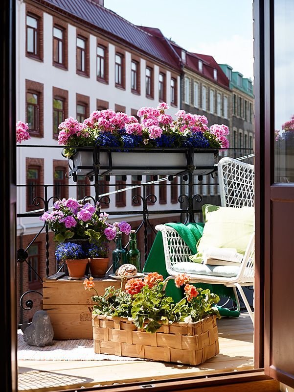 Фотография: Балкон в стиле Прованс и Кантри, Ландшафт, Декор, Терраса, Советы, Мария Шумская, Есения Семипядная, элегантный городской балкон, винтажные вещи на балконе, восточный декор для балкона, балкон в средиземноморском стиле, ландшафтный дизайн для балкона, горизонтальное озеленение, хвойные растения на балконе – фото на INMYROOM