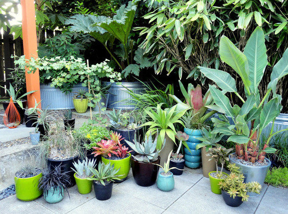 Фотография: Флористика в стиле  – фото на INMYROOM