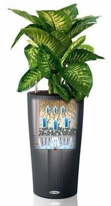 Фото из портфолио LECHUZA CILINDRO Color – фотографии дизайна интерьеров на INMYROOM