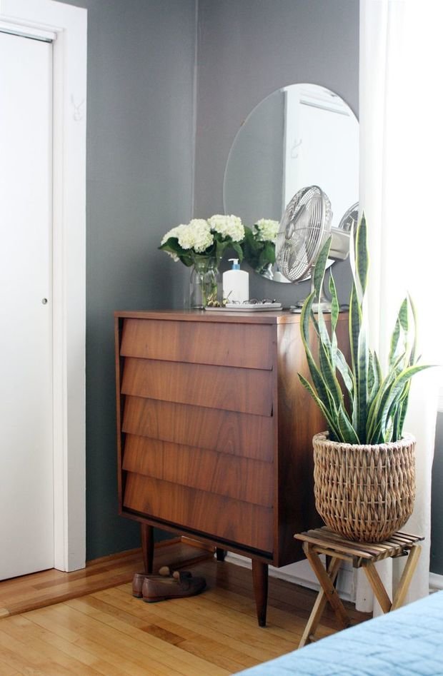 Фото из портфолио Домашние растения – фотографии дизайна интерьеров на INMYROOM