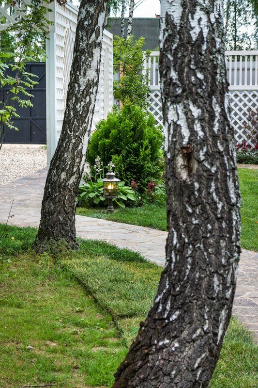 Фотография: Ландшафт в стиле Современный, Дачный ответ, Беседка – фото на INMYROOM Фотография: Ландшафт в стиле Современный, Дачный ответ, Беседка – фото на INMYROOM