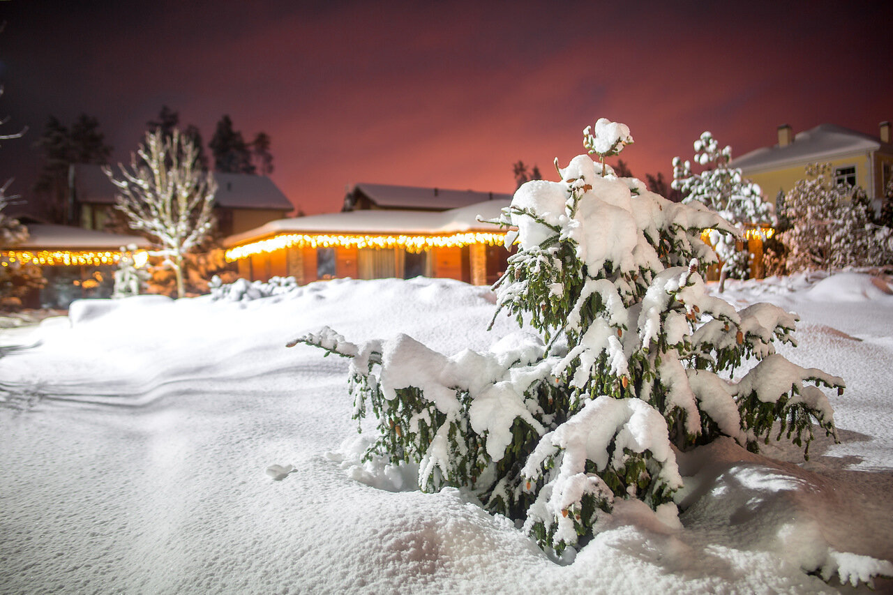 Фотография: в стиле , Советы, Derevo Park – фото на INMYROOM