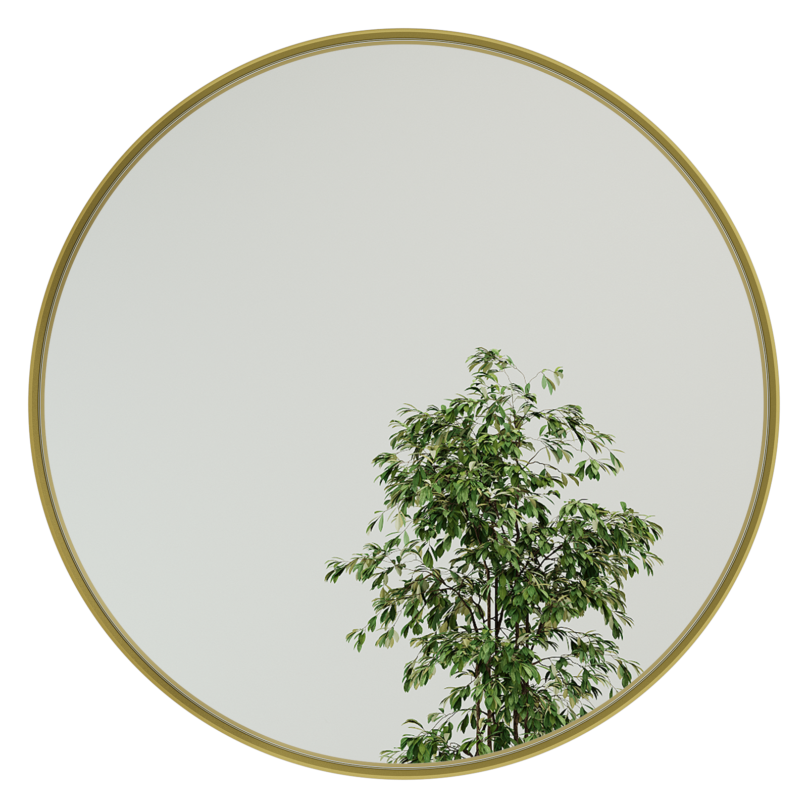 Настенное зеркало Rauntel M в раме золотого цвета