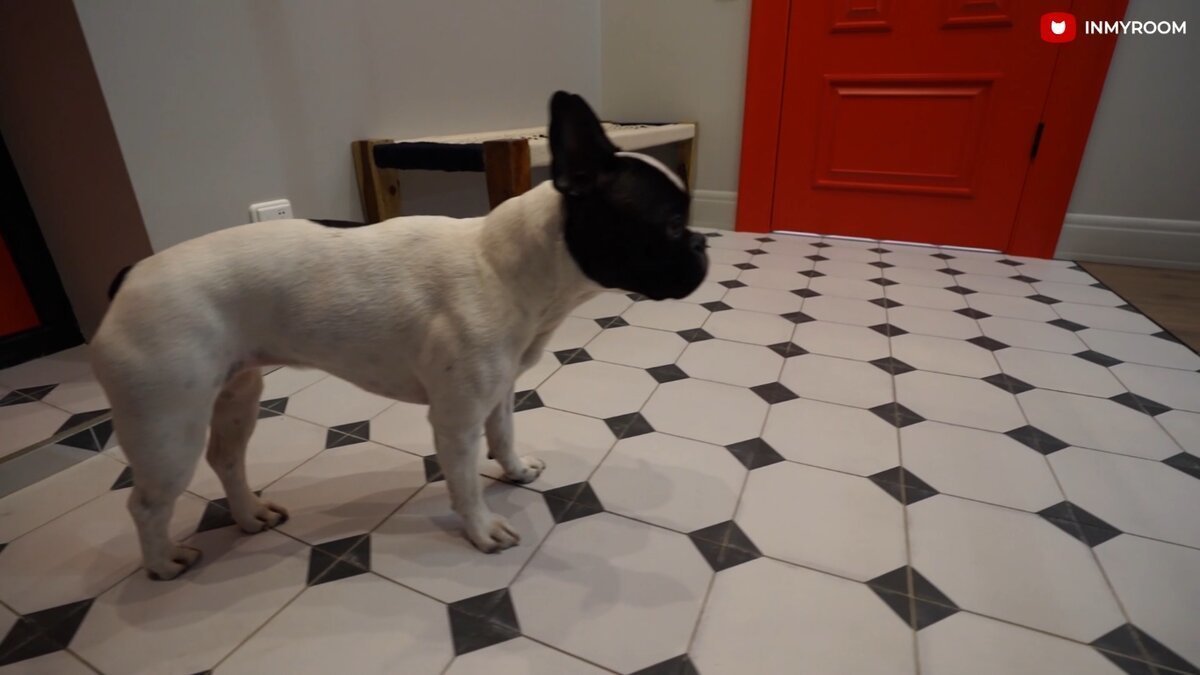 Фотография: в стиле , Прихожая, Малогабаритная квартира – фото на INMYROOM